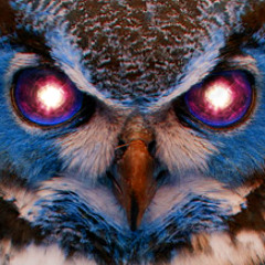 TheLaserOwl
