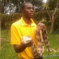 Joseph Jay Mwiinga Jr.