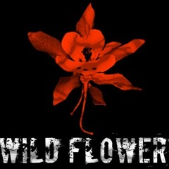 Wildflower India