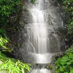 Jacqueline   Gilbert