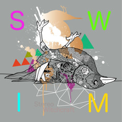 Stereo Witchcraft by SWIM