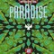 RAINBOWPARADISE