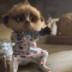 Trish Berrington Mott