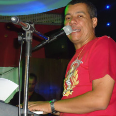 Gerluis músico