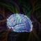 Nakt mind-project