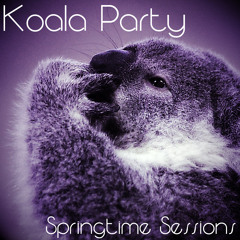 Koala Party