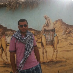 user725153448