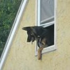 Joycelyn Francis Williams