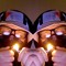 IN$PECTOR GVNJV ($.©.©.)