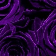 Romalee Cookie Henry