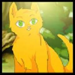 New private playlist