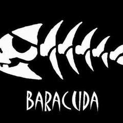 _Baracuda_