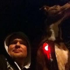 Martin Skovbjerg Brown