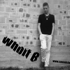 Wholf B & Viktor Newman - Go! (Original Mix) Prev