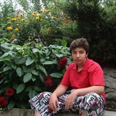 Farzin Dalir