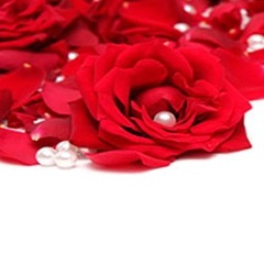 Chuva de Rosas