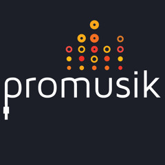 FundaProMusik