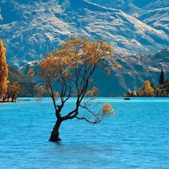 KhaledAnwer88