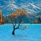KhaledAnwer88
