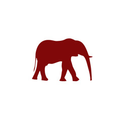 Tiny Elephant Louisville