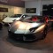 Exotic624