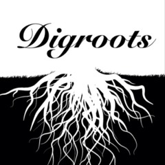 DIGROOTS©