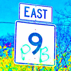 Pb Poison