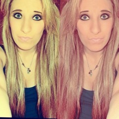 Loris Le2