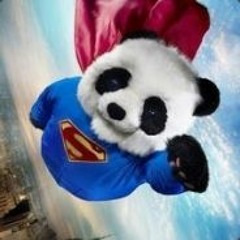 SuperPandaZ