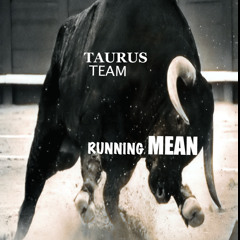 TaurusTeam