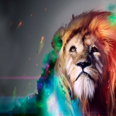 Arjan van der Hoeven