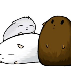 Hamsty