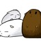 Hamsty