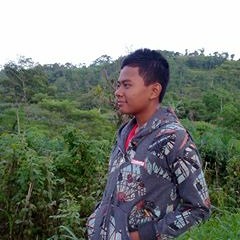 Alvin Ulil Amriansyah