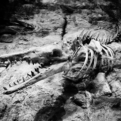 Gulomet Bartek JOZKO