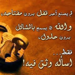 نجيب لبيب
