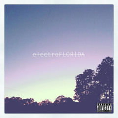 electroflorida