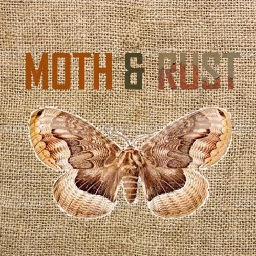 Type Of Brown Moth And Stream