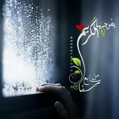 heba_elmenshawy_9
