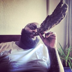 BiggaBoyBreeze_413
