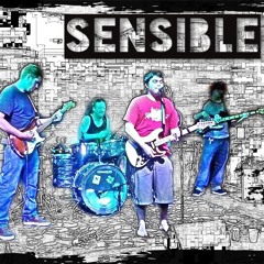 Sensible
