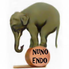Nuno Endo