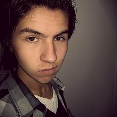 Javier Hernández 343