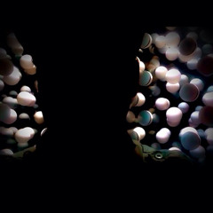 Camouflage Chameleon