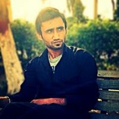 Syed Qalb E Husnain