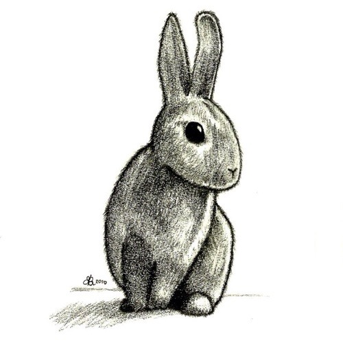 Cats list in a forest of lies