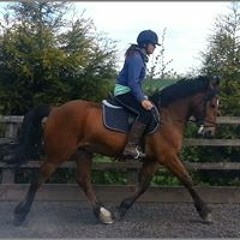 Lisa Michelle McCalman