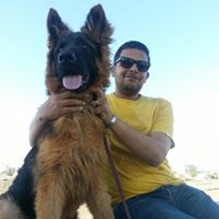 Bassem Ghareb