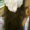 Iqra Syed93