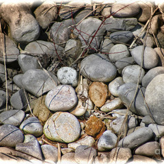 Sticks & Stones Music